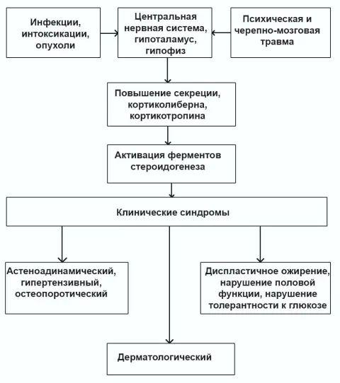 ознаки синдрому Кушинга